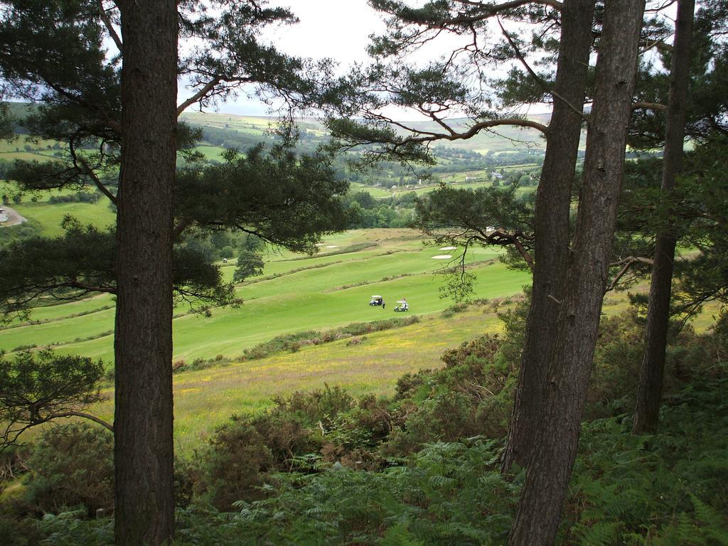 Macreddin Rock Bed & Breakfast Aughrim Exterior foto