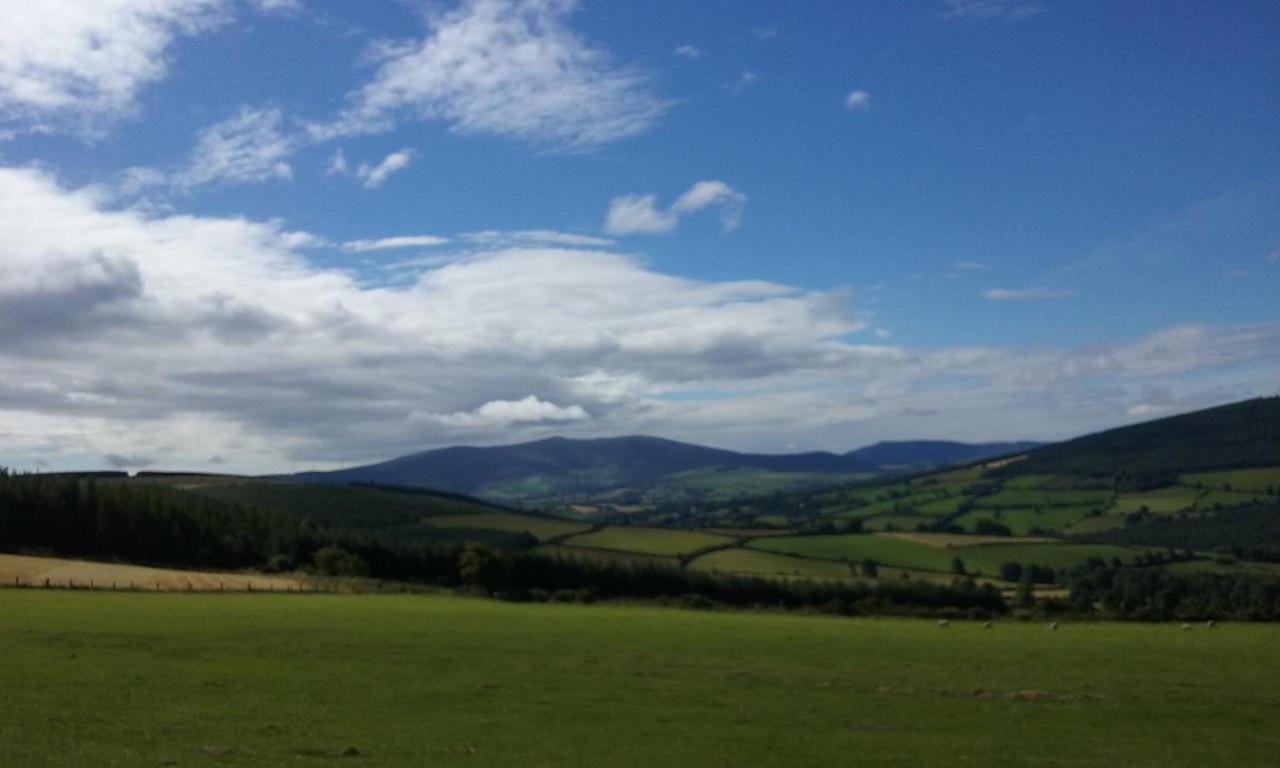 Macreddin Rock Bed & Breakfast Aughrim Exterior foto
